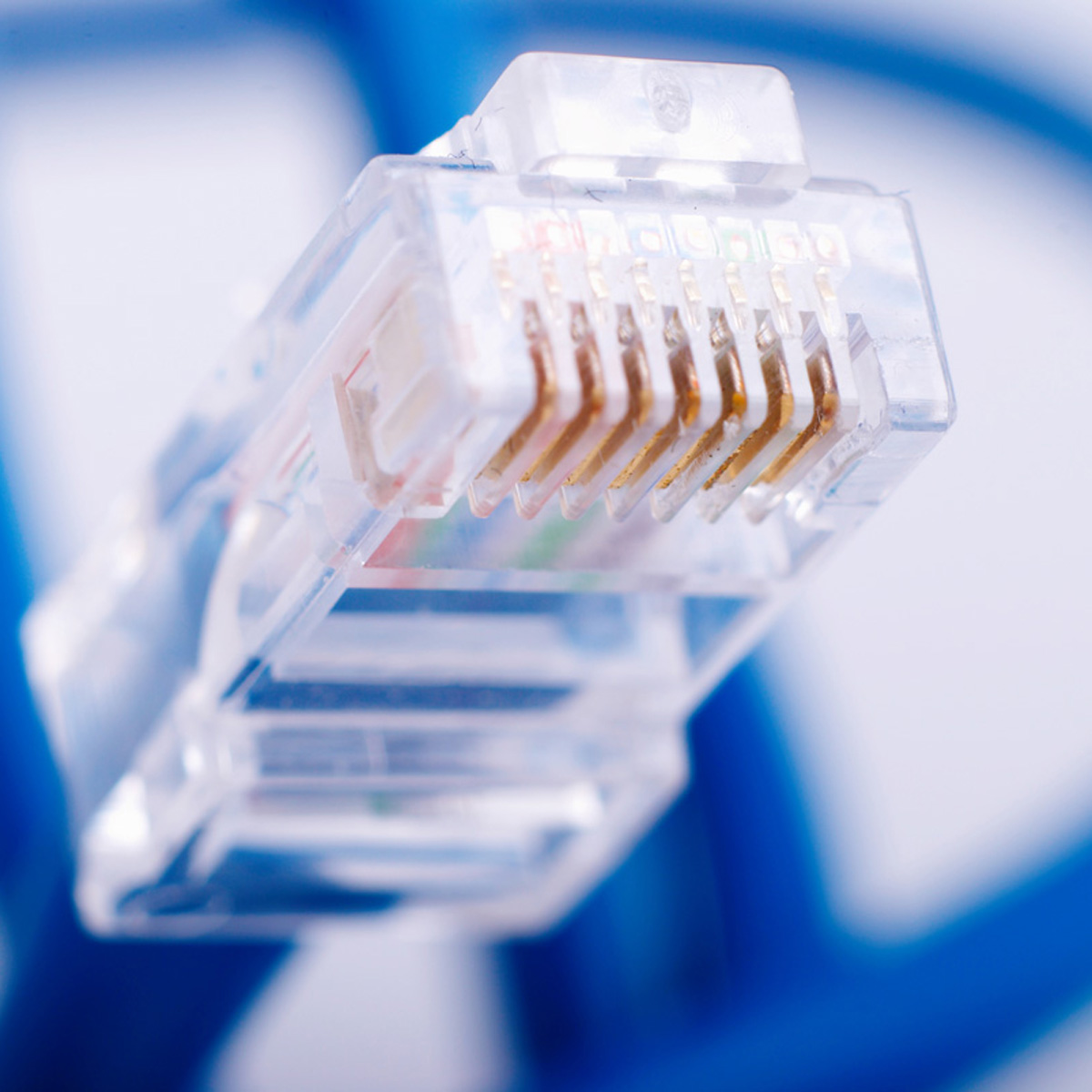 Network Services